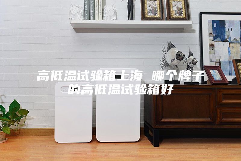 高低溫試驗箱上海 哪個牌子的高低溫試驗箱好