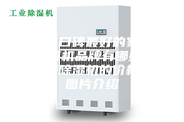 目前口碑最好的家用除濕機品牌有哪些?家用除濕機的價格和圖片介紹