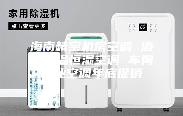 海南精密機房空調 酒窖恒溫恒濕空調 車間工業空調年底促銷