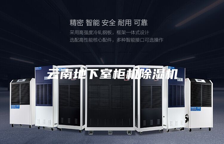 云南地下室柜機除濕機