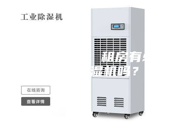 初到南方，租房有必要買除濕機嗎？
