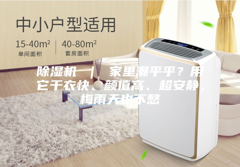 除濕機 ｜ 家里潮乎乎？用它干衣快、顏值高、超安靜，梅雨天也不愁