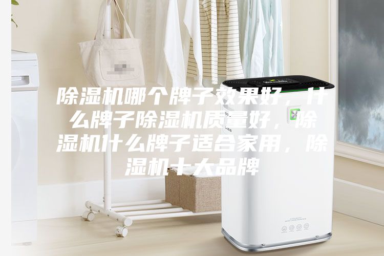 除濕機哪個牌子效果好，什么牌子除濕機質量好，除濕機什么牌子適合家用，除濕機十大品牌