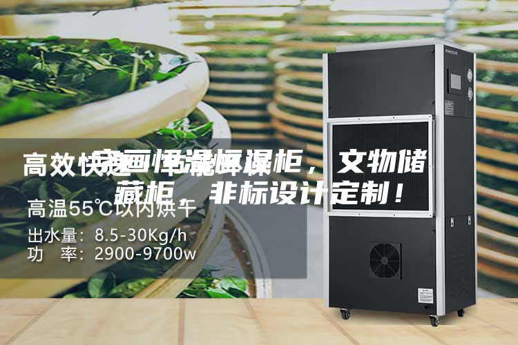 字畫恒溫恒濕柜,文物儲藏柜,非標(biāo)設(shè)計定制!