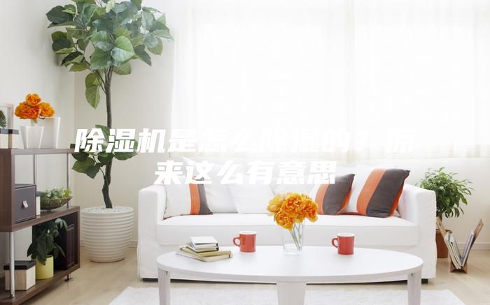 除濕機(jī)是怎么除濕的?原來(lái)這么有意思