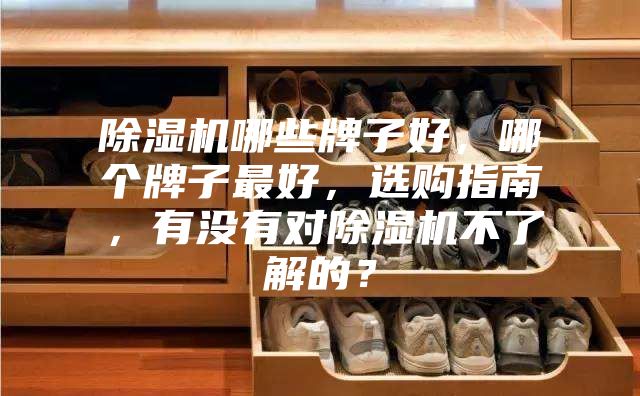 除濕機哪些牌子好，哪個牌子最好，選購指南，有沒有對除濕機不了解的？