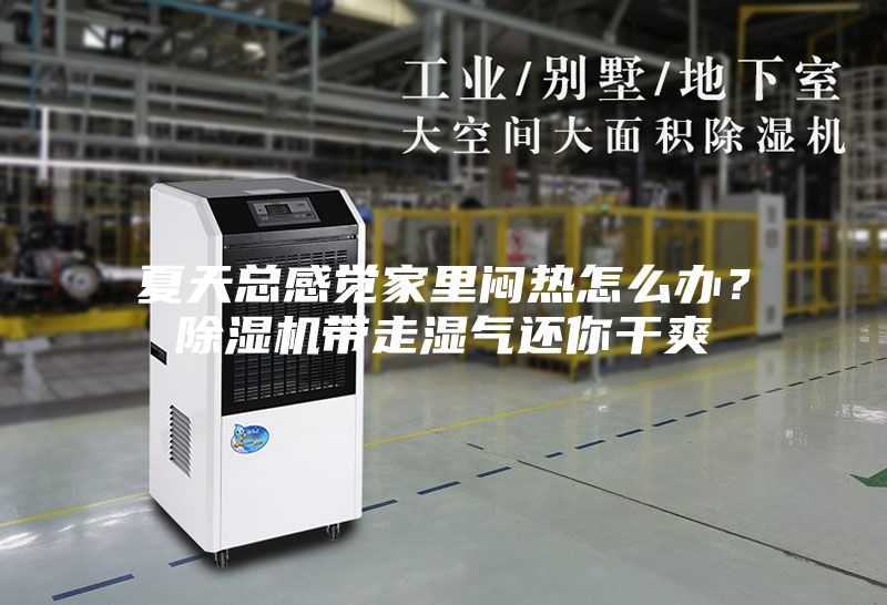 夏天總感覺(jué)家里悶熱怎么辦?除濕機(jī)帶走濕氣還你干爽