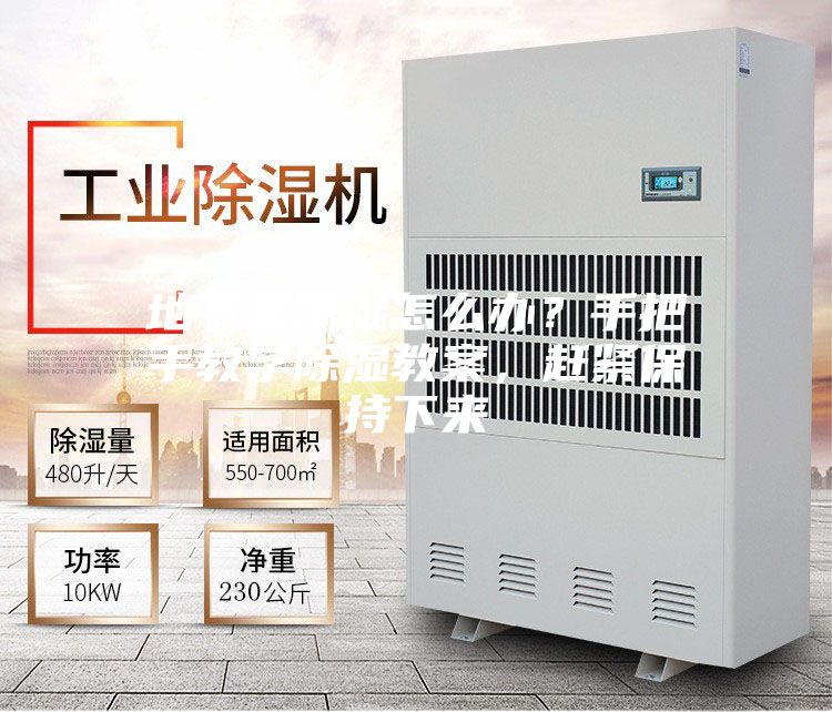 地下室潮濕怎么辦？手把手教學除濕教案，趕緊保持下來