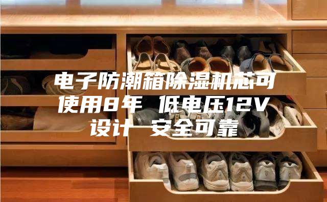 電子防潮箱除濕機芯可使用8年 低電壓12V設計 安全可靠