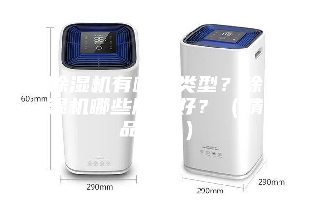 除濕機有哪些類型？除濕機哪些牌子好？（精品推薦）