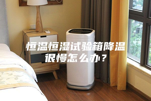 恒溫恒濕試驗箱降溫很慢怎么辦？