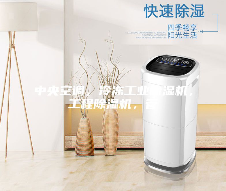 中央空調，冷凍工業除濕機，工程除濕機，管