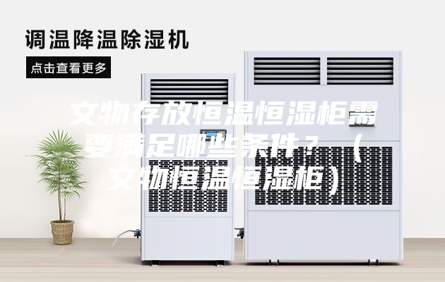 文物存放恒溫恒濕柜需要滿足哪些條件？（文物恒溫恒濕柜）