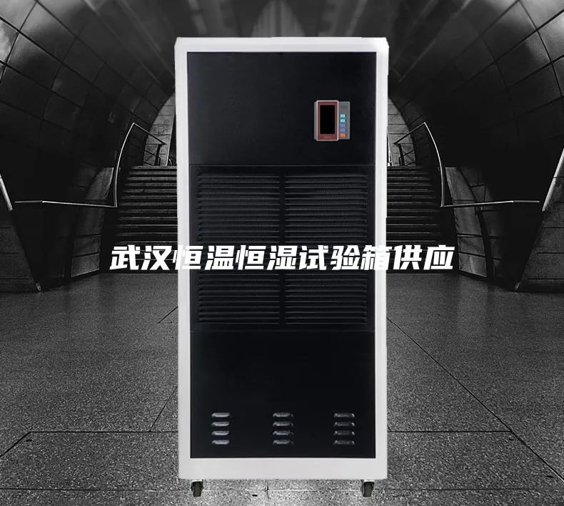 武漢恒溫恒濕試驗箱供應(yīng)