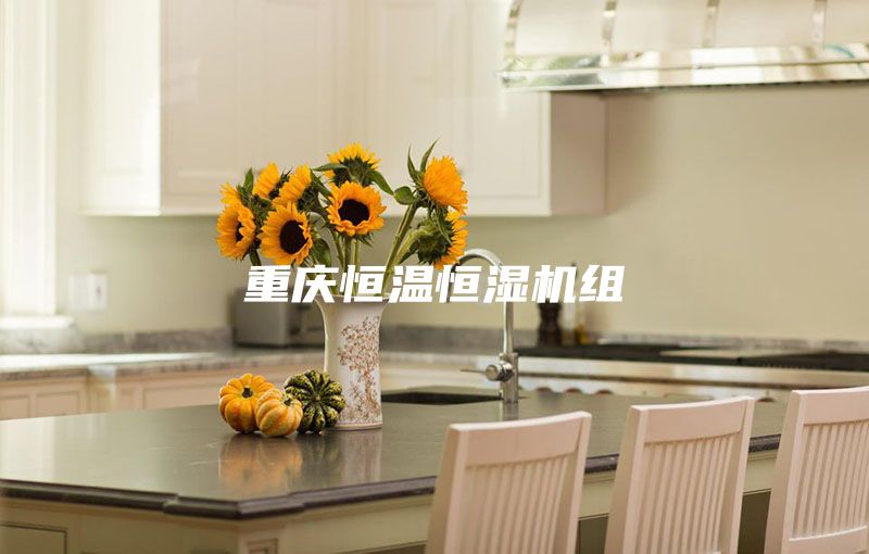 重慶恒溫恒濕機組
