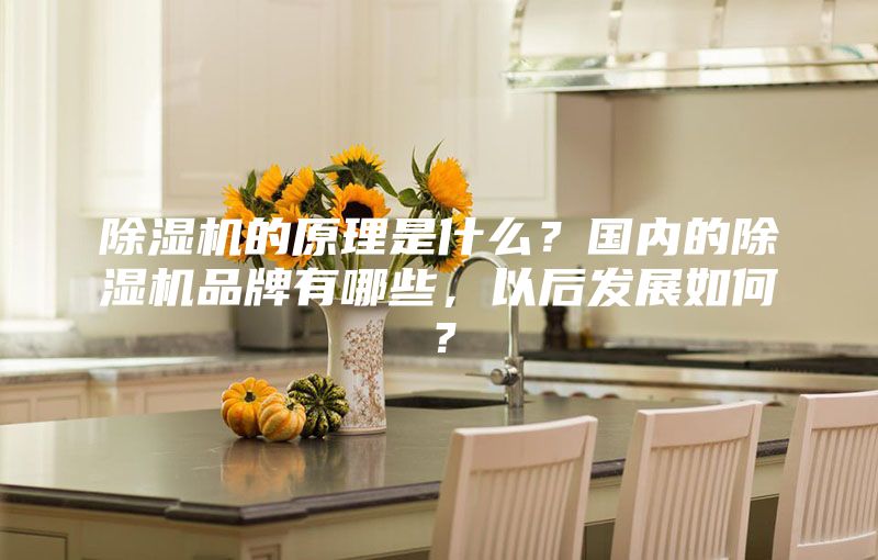 除濕機的原理是什么？國內的除濕機品牌有哪些，以后發展如何？