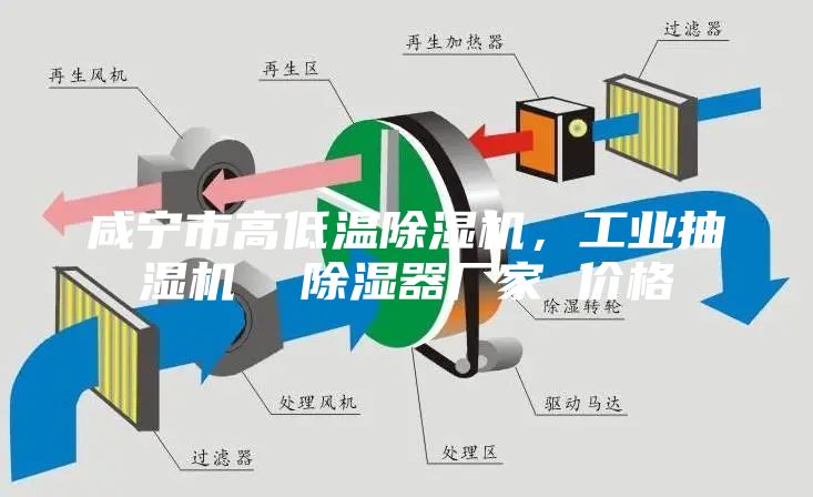咸寧市高低溫除濕機(jī)，工業(yè)抽濕機(jī)  除濕器廠家 價(jià)格