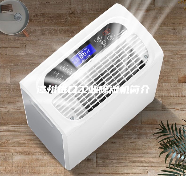 漳州進(jìn)口工業(yè)除濕機(jī)簡介