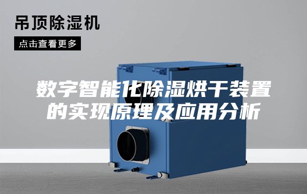 數字智能化除濕烘干裝置的實現原理及應用分析