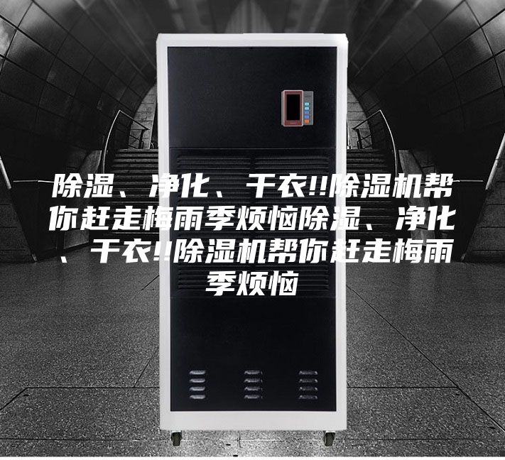 除濕、凈化、干衣!!除濕機(jī)幫你趕走梅雨季煩惱除濕、凈化、干衣!!除濕機(jī)幫你趕走梅雨季煩惱