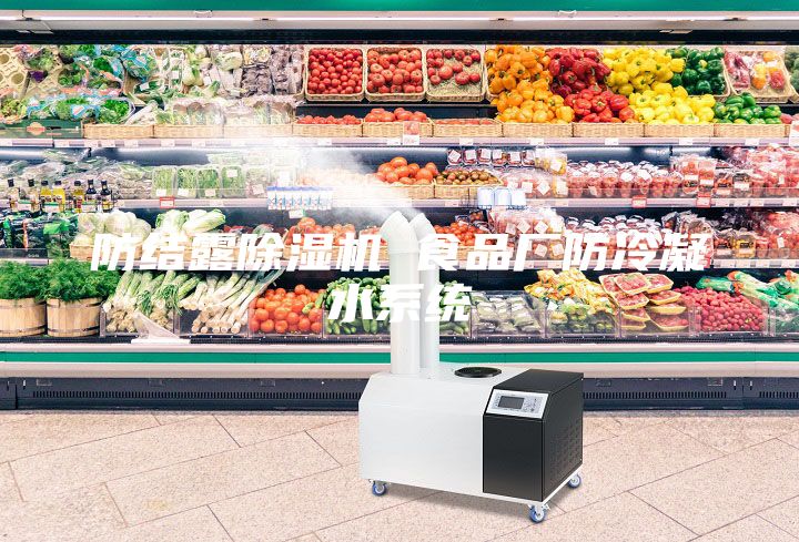 防結(jié)露除濕機(jī) 食品廠防冷凝水系統(tǒng)