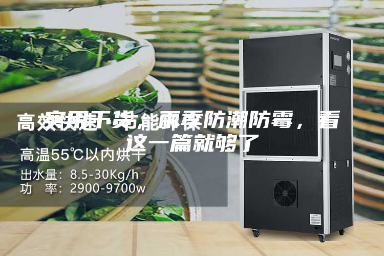 實(shí)用干貨，雨季防潮防霉，看這一篇就夠了