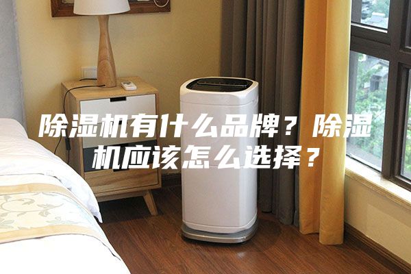 除濕機有什么品牌？除濕機應該怎么選擇？