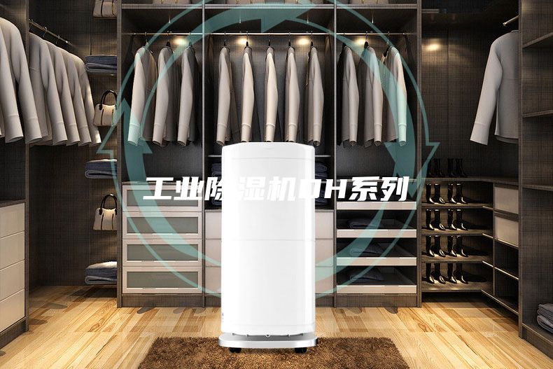 工業(yè)除濕機(jī)DH系列