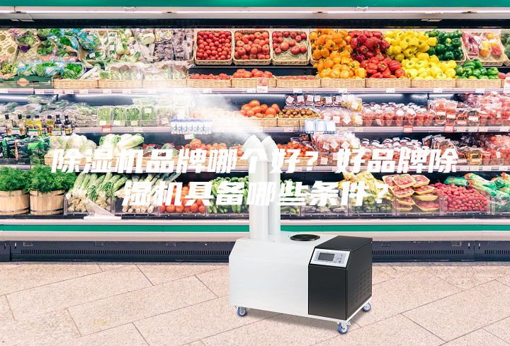 除濕機品牌哪個好？好品牌除濕機具備哪些條件？