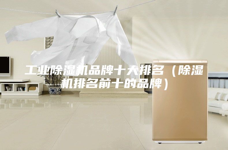 工業(yè)除濕機(jī)品牌十大排名(除濕機(jī)排名前十的品牌)
