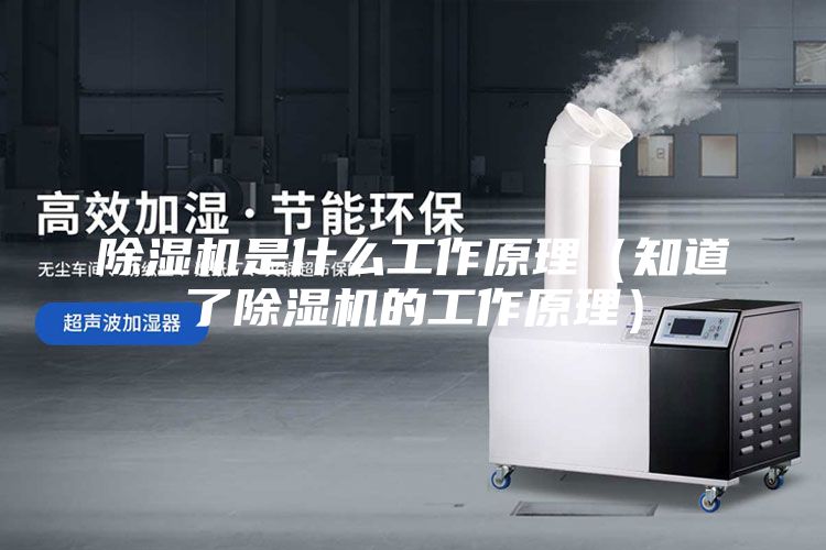 除濕機是什么工作原理(知道了除濕機的工作原理)