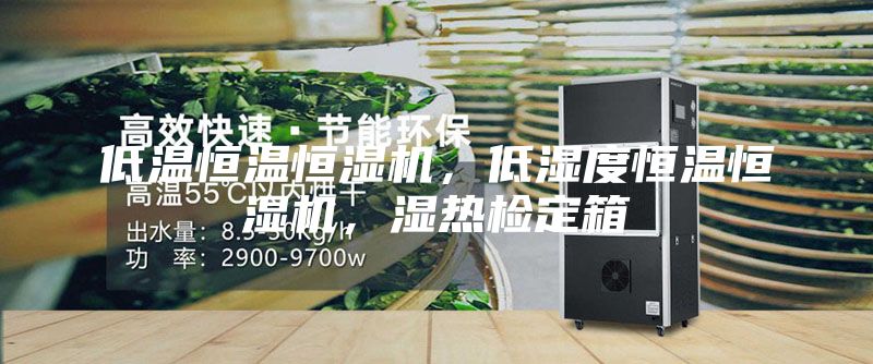 低溫恒溫恒濕機(jī),低濕度恒溫恒濕機(jī),濕熱檢定箱