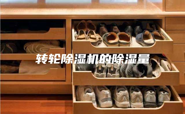 轉(zhuǎn)輪除濕機(jī)的除濕量