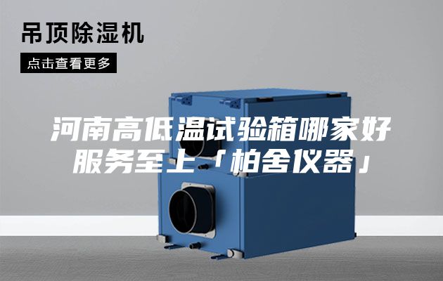 河南高低溫試驗箱哪家好服務至上「柏舍儀器」