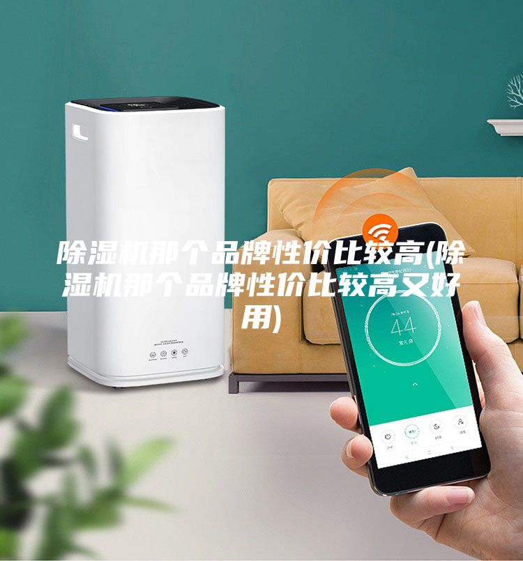 除濕機那個品牌性價比較高(除濕機那個品牌性價比較高又好用)