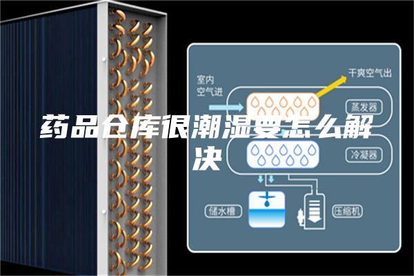 藥品倉庫很潮濕要怎么解決