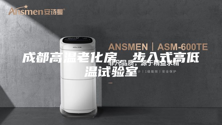 成都高溫老化房，步入式高低溫試驗(yàn)室