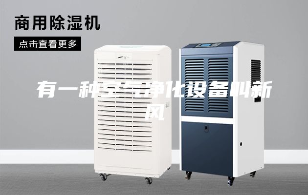 有一種空氣凈化設備叫新風