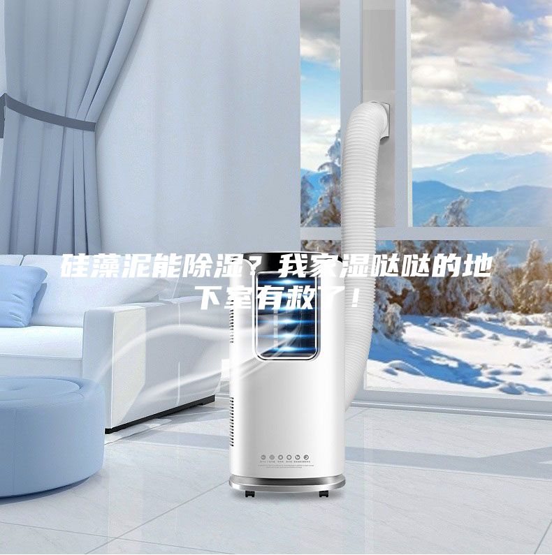 硅藻泥能除濕？我家濕噠噠的地下室有救了！
